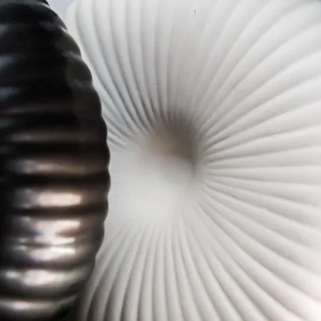 The Kokoon Comfort Living Волос