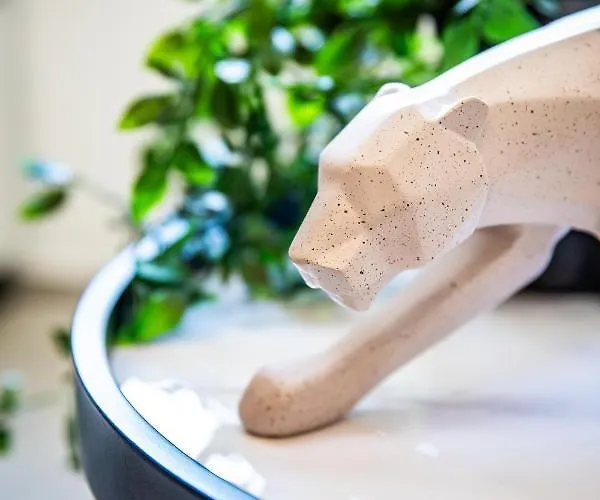 Lägenhetshotell The Kokoon Comfort Living