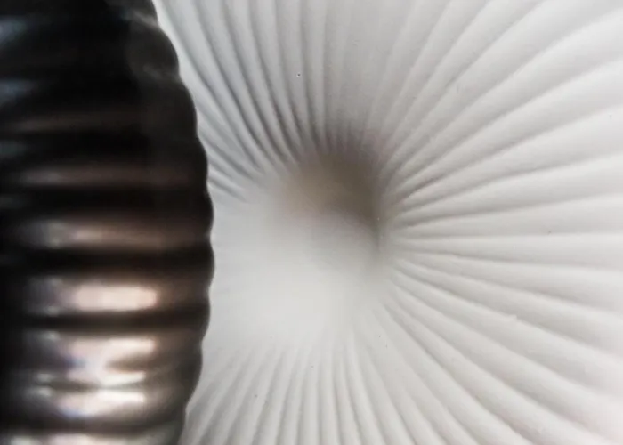 The Kokoon Comfort Living Volos