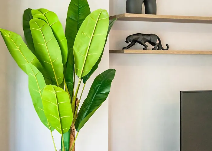 Aparthotel The Kokoon Comfort Living